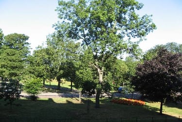 3 bed flat, Meadow place, Marchmont, Edinburgh, EH91JZ - Image 8